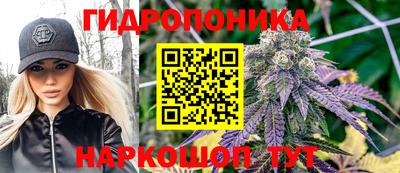ГАЛЛЮЦИНОГЕННЫЕ ГРИБЫ Северобайкальск