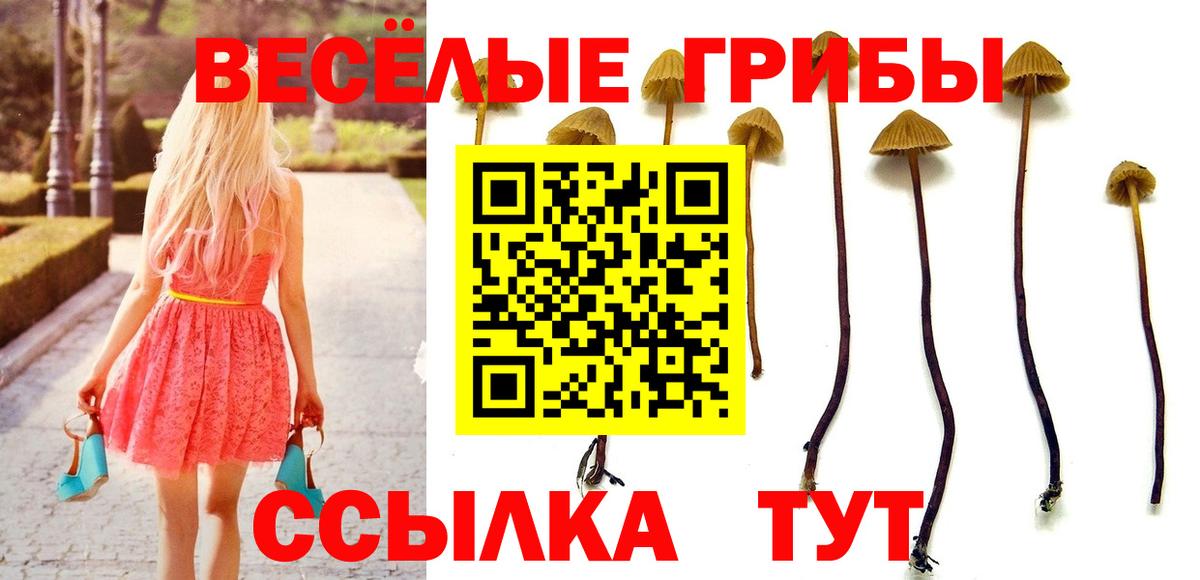 Галлюциногенные грибы мицелий Омск
